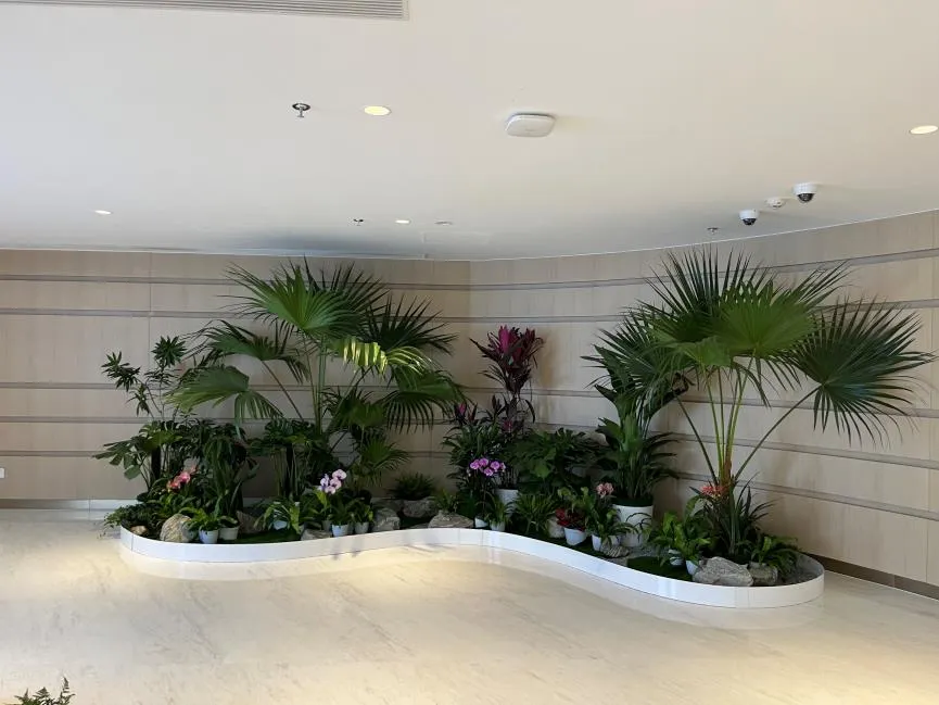 北仑绿化修剪专业